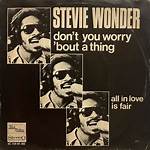 Stevie Wonder’sdon’t You Worry ‘Bout a Thing Lyrics