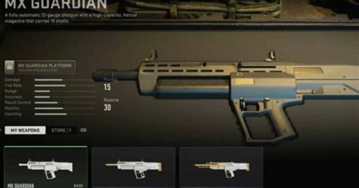 The Best Mx Guardian Loadout in Warzone