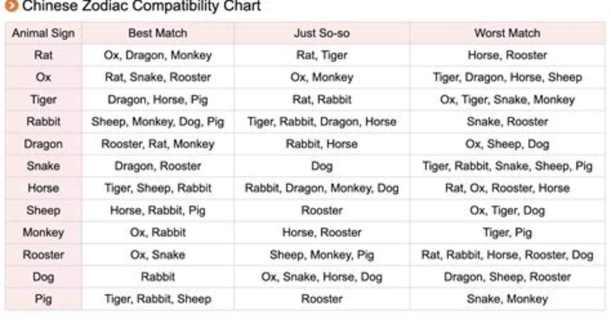 The Compatibility Guide: Snakes and Tigers in Love and Life