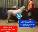 The Notorious "Michael Hanley Horse Video Mr Hands Original": a Harrowing Tale