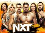 The Nxt Superstar on the Rise