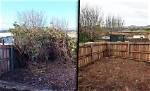 The Shocking Truth Behind the Dog Cage Incident |