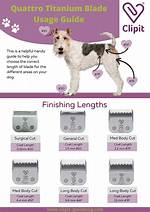 The Ultimate Guide to Dog Comb Overs: Grooming Tips and Accessories