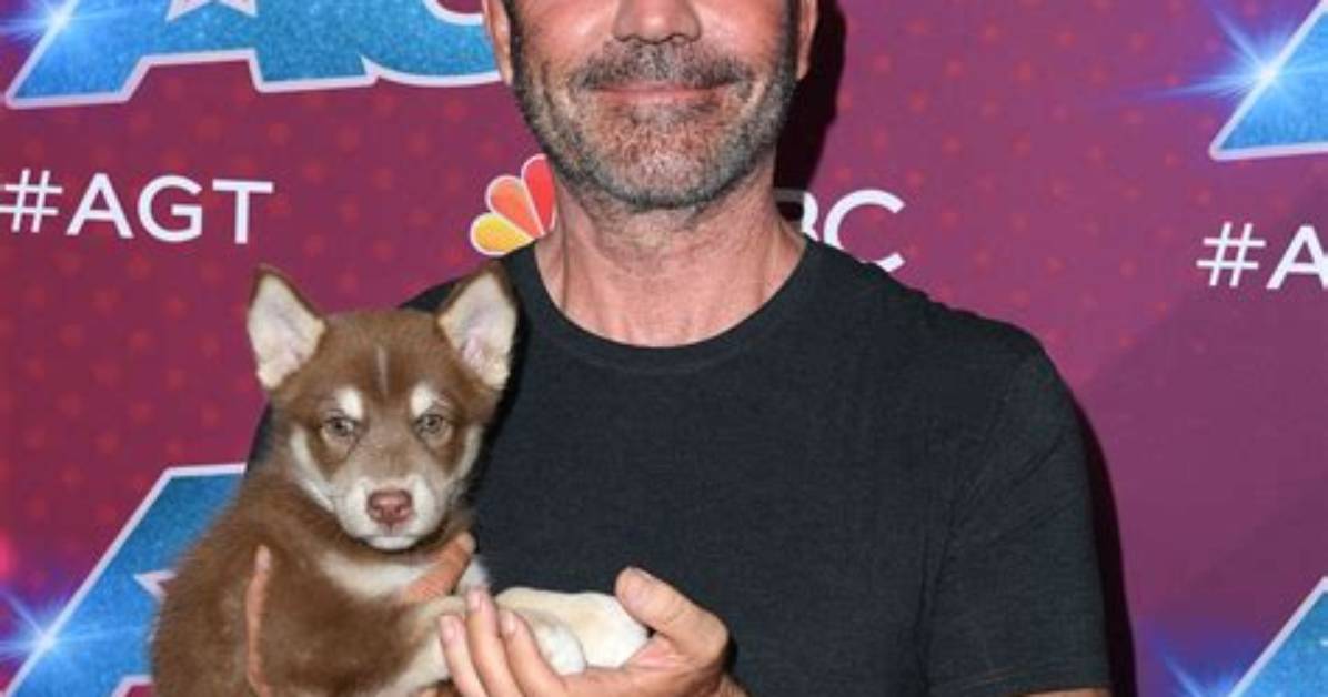 The Ultimate Guide to Simon Cowell's Partner