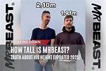 Uncover Jimmy "Mrbeast's" Towering Height: How Tall Is the Philanthropic Star?