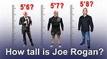 Uncovering the Riches of Joe Rogan: a Fortune Unparalleled