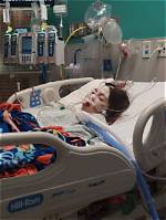 Understanding Anoxic Brain Injury Resulting from Bee Stings