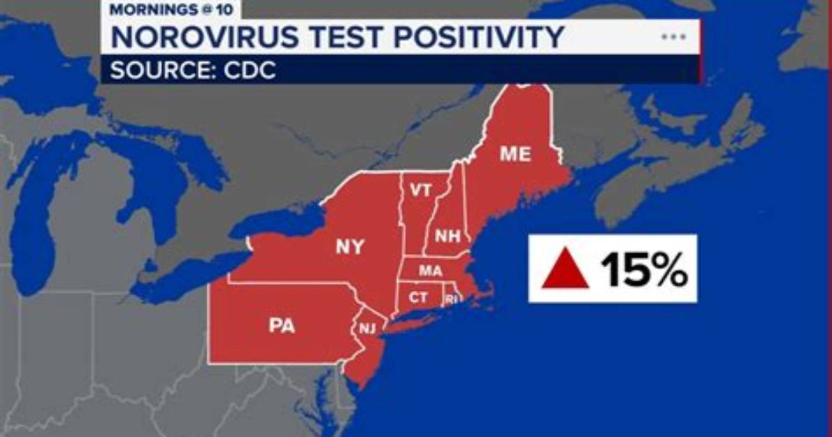Understanding the Current Stomach Virus Outbreak Map 2024