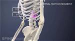 Understanding the T12 Medical Abbreviation: Significance and Implications
