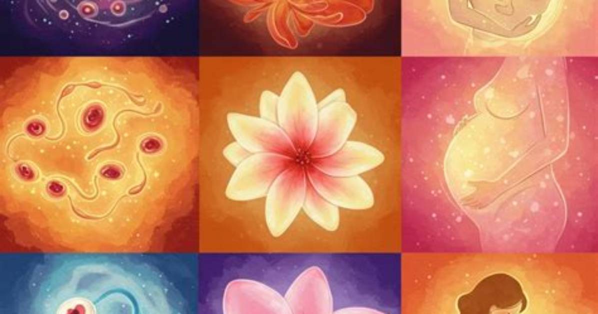 Understanding the Unique Pregnancy Journey of Abby and Brittany Hensel