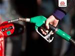 Unleashing the Power of Petrol Fuel for Dogs: a Curious Exploration