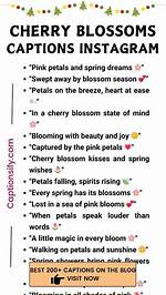 Unlock Enchanting Cherry Blossom Captions for Instagram: Discoveries and Insights