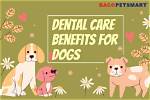 Unlock Exclusive Pet Care Secrets at Petsmart Hadley Ma