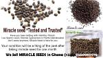 Unlocking the Benefits of Miracle Seed: a Comprehensive Guide