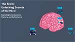 Unlocking the Secrets of "Brain Pepper"