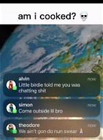 Unraveling the Charm of Birdie Memes: a Feathered Delight