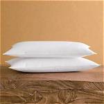 Unraveling the Journey of Michael J. Lindell: the Pillow King