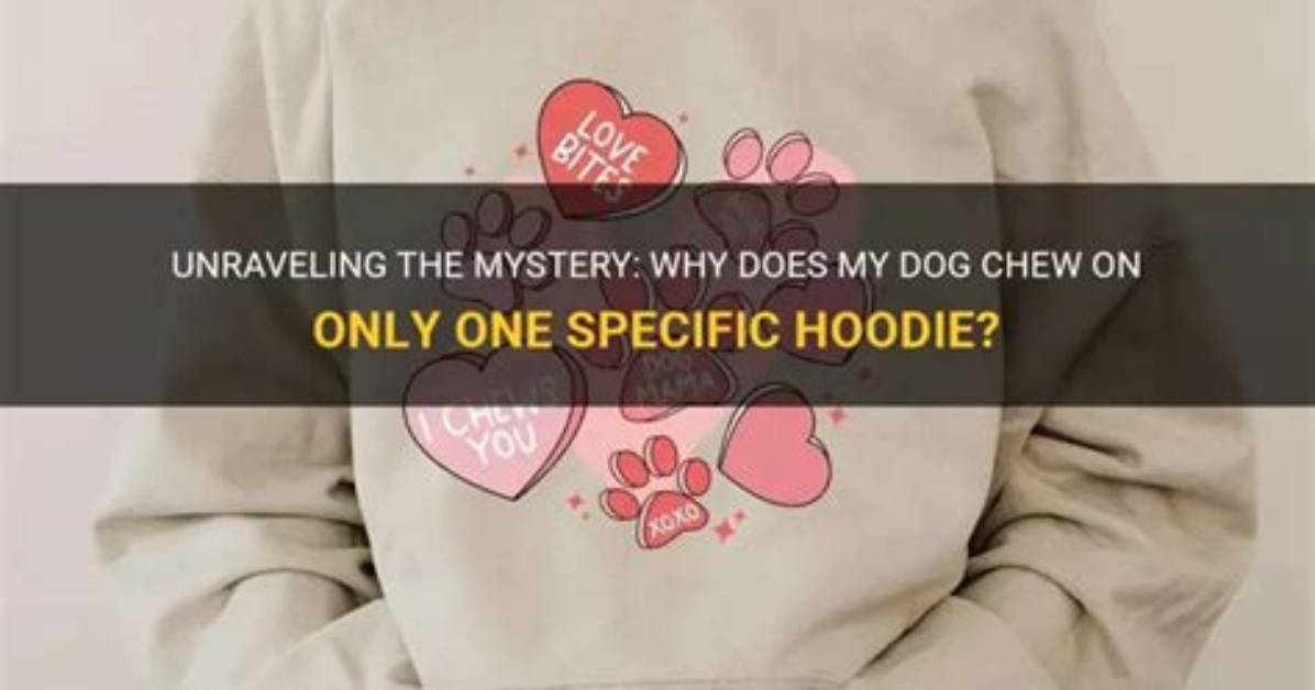 Unraveling the Mystery of the Pink Hoodie Girl Fight