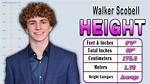 Unraveling the Mystery of Walker Scobell Height