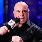Unraveling the Mystery: Was Joe Rogan's Wife on Fear Factor?