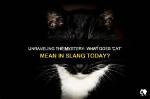 Unraveling the Mystery: What Does. Llaw Mean?
