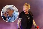 Unraveling the Mystery: Who Is Axl Rose's Wife?