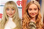 Unveiling Sabrina Carpenter's Disney Show Journey