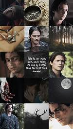 Unveiling the Character of Finn Collins in "The 100": Insights and Discoveries