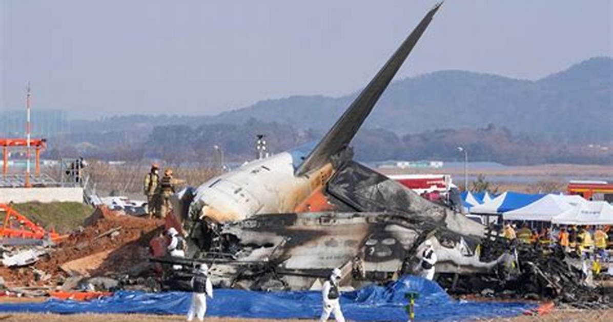 Unveiling the Devastating Impacts of Plane Crashes on the Human Body