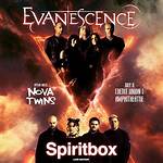 Unveiling the Enigmatic Union of Evanescence's Amy Lee
