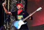 Unveiling the Inspiring World of Tom Morello's Wife