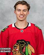 Unveiling the Life of Connor Bedard's Parents