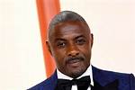 Unveiling the Life of Idris Elba's Wife: a Journey Through Love and Partnership
