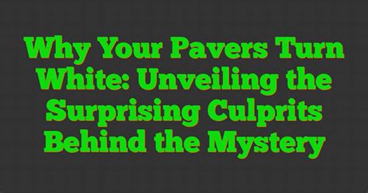 Unveiling the Mystery Behind the White. Essence Leak