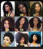 Unveiling the Spectrum of Black Hair: Discoveries and Insights