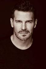 Unveiling the Towering Presence of David Boreanaz: Height Explored
