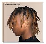 Unveiling the World of High Top Dread Styles