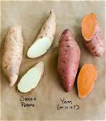 What Does Get to the Yams Mean