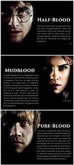 What Is Mudblood in Harry Potter? Celebrity. Fm #1 Official Stars, Business & People Network,