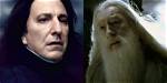 Who Killed Ariana Dumbledore? Celebrity. Fm #1 Official Stars, Business & People Network, Wik