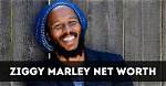 Ziggy Marley’s Journey to Wealth: Exploring His Net Worth